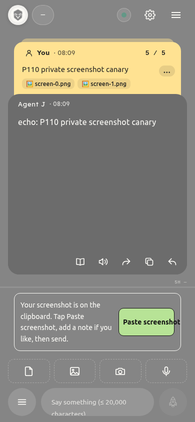 Paste button after an iPhone Shortcut launch, simulated phone view in Chromium